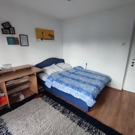 Cozy Room With A Balcony Saraybosna Dış mekan fotoğraf