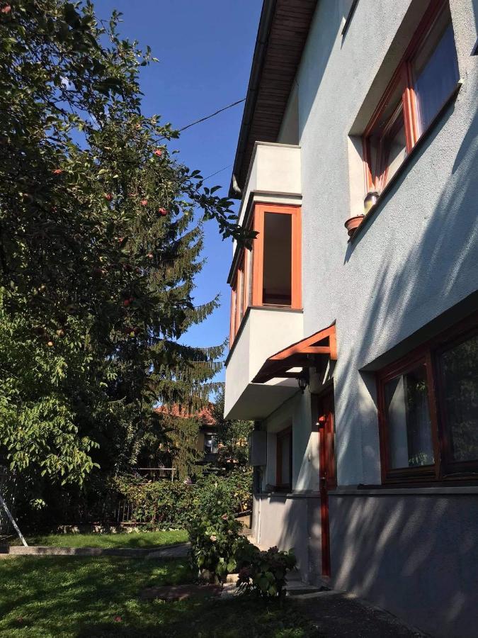 Cozy Room With A Balcony Saraybosna Dış mekan fotoğraf